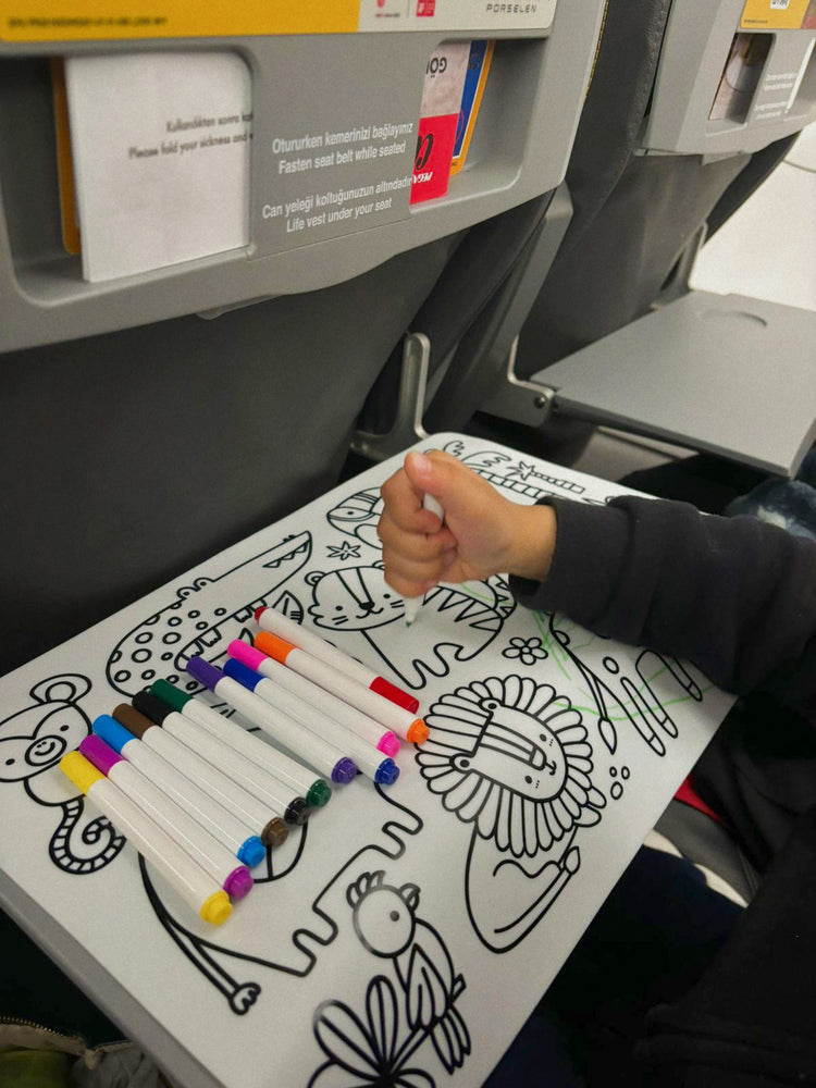 Travel Toys