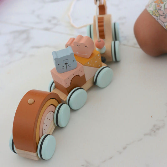 Pull & Play Animal Train